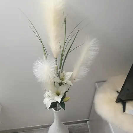 La * 奥尔日河畔布雷蒂尼